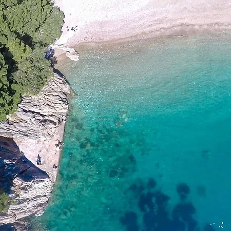 Ancora 2 *